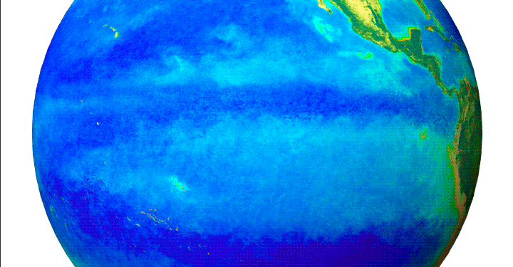 Animation of chlorophyll change as a result of the 1998 El Niño.