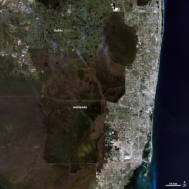 Landsat image of the Florida in red, green, and blue light.