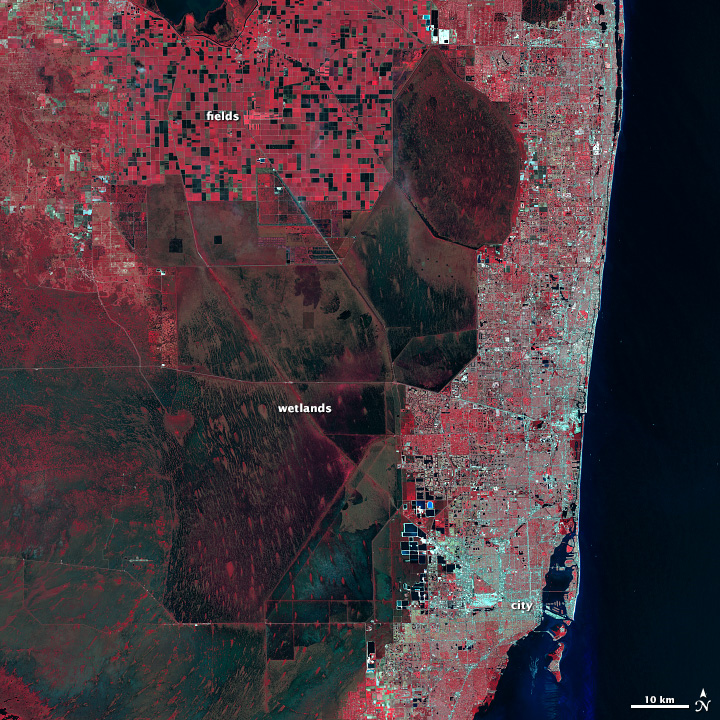 Landsat image of the Everglades in near infrared, red, and green light.