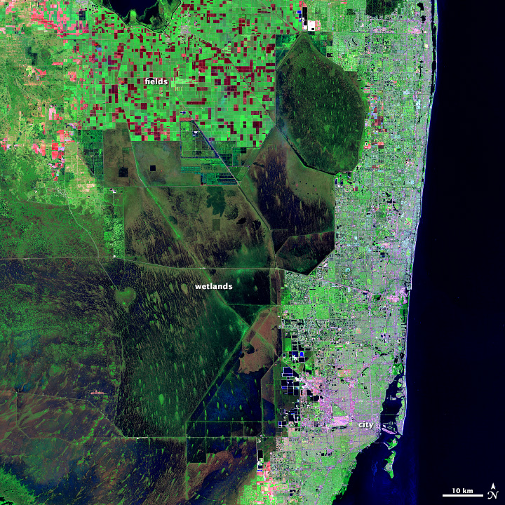 Landsat image of the Florida in shortwave infrared, near infrared, and green light.