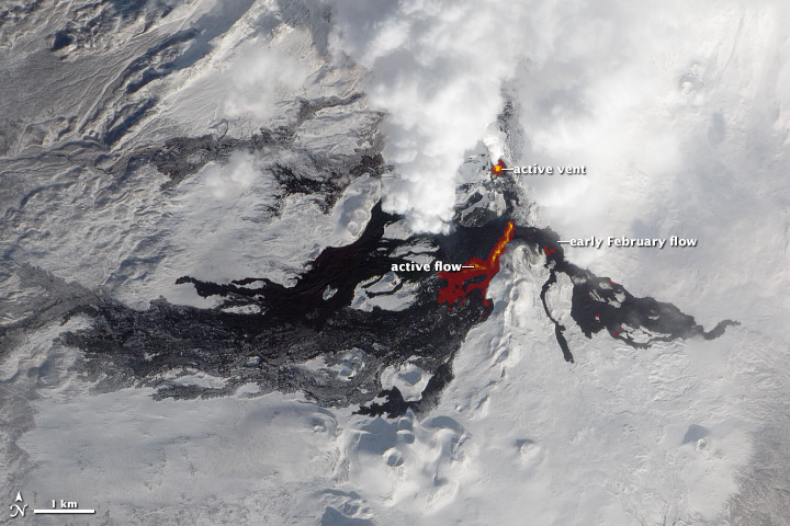 Infrared light reveals details of the evolving lava flows on Russia's Tolbachik Volcano.