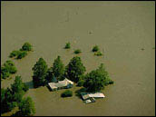 flooded houses