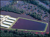 flooded sewage lagoon
