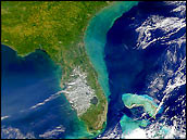 sediment along the Florida coast