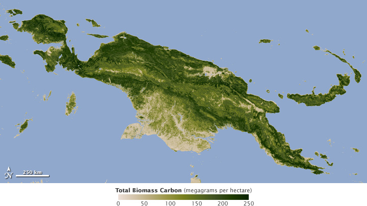 Map of biomass carbon.