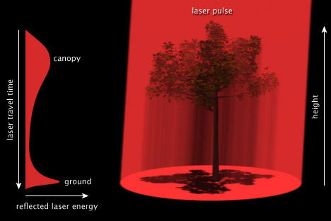 Schematic of LIDAR measurements of tree height.