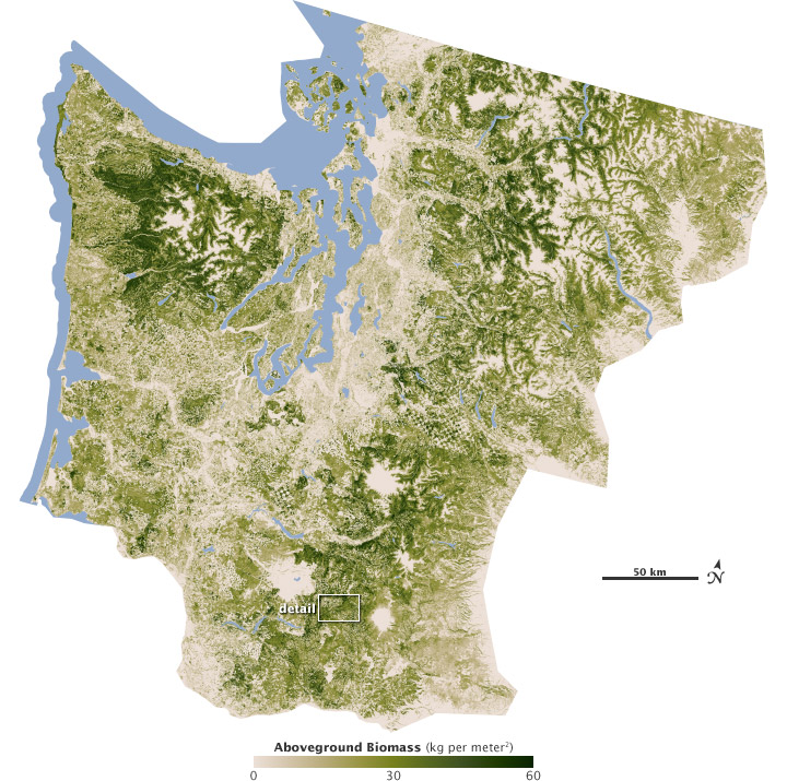 Map of biomass in the Pacific Northwest.