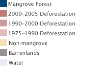Key for mangrove image.