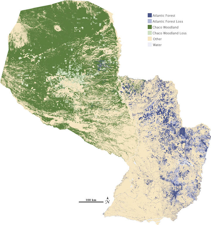 forests of the underground': Why scientists want to map the