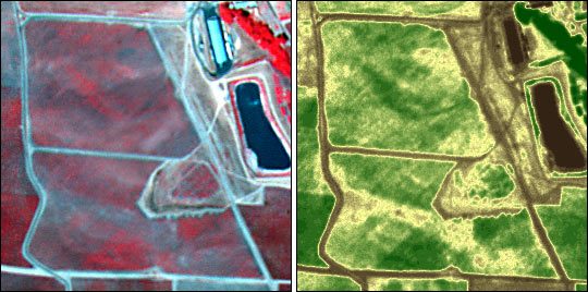 Comparison of False Color and NDVI imagery