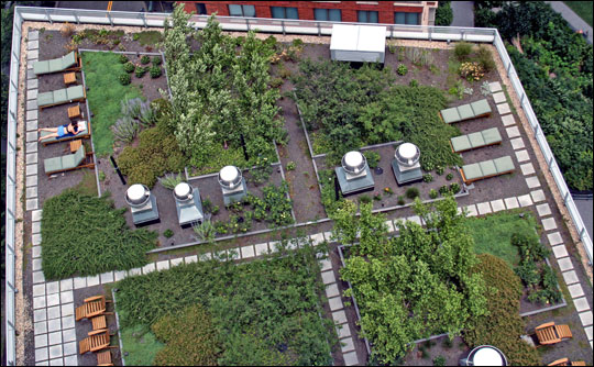 Green roof atop the Solaire, Battery Park City, Copyright birdw0rks/Simon Bird