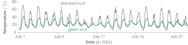 Standard and green roof temperatures from July 2003 Penn State study
