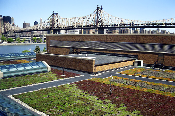 Photograph of the green roof on top of the Con Edison building, Long Island City, New York.