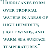 Hurricanes form over tropical waters in areas of high humidity, light winds, and warm sea surface temperatures.