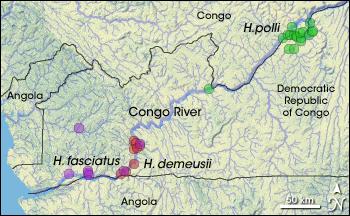 Congo map with species distribution