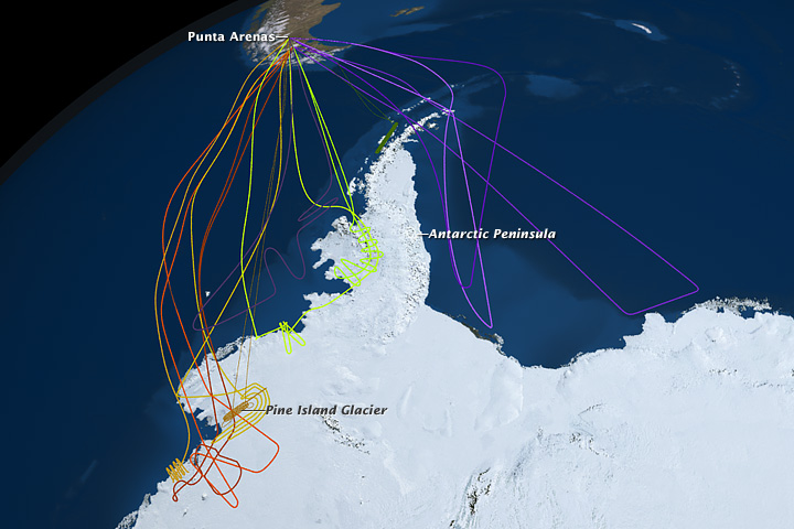 Map of flights over Antarctica from the 2010 Operation IceBridge field campaign.