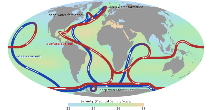 Map of ocean salinity and the thermohaline circulation.