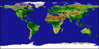 global vegetation