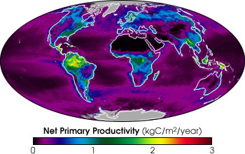 Map of Net Primary Productivity
