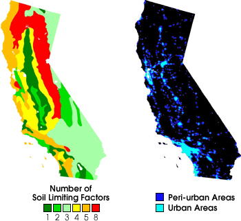 California Soils and Lights