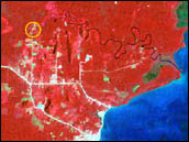 Landsat 
Image