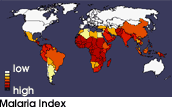 Malaria Index