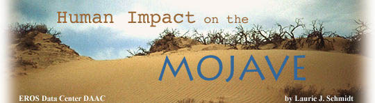 Human Impact on the Mojave by Laurie J. Schmidt