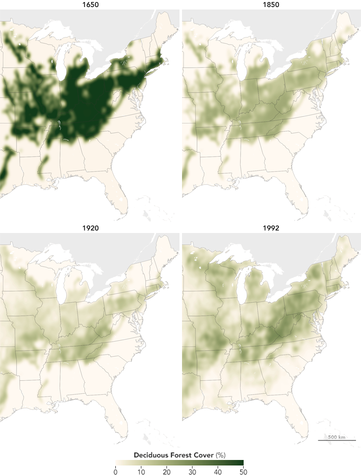 Maps of deciduous forest cover in the contiguous United States, 1650-1992