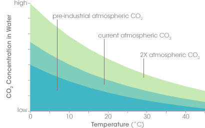 The concentration of carbon dioxide (CO2) in ocean water (y axis) depends on the amount of CO2 in the atmosphere (shaded curves) and the temperature of the water (x axis). This simplified graph shows that as atmospheric CO2 increases from pre-industrial levels (blue) to double (2X) the pre-industrial amounts (light green), the ocean CO2 concentration increases as well. However, as water temperature increases, its ability dissolve CO2 decreases. Global warming is expected to reduce the ocean’s ability to absorb CO2, leaving more in the atmosphere…which will lead to even higher temperatures.