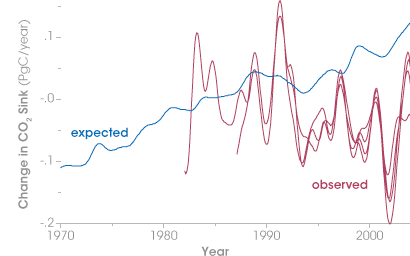 Le Quéré expected to see a steady increase in the amount of carbon dioxide absorbed by the Southern Ocean between 1981 and 2004 (blue line). Instead, weather station measurements (red line) suggested year-to-year variability, but no long-term increase over time.