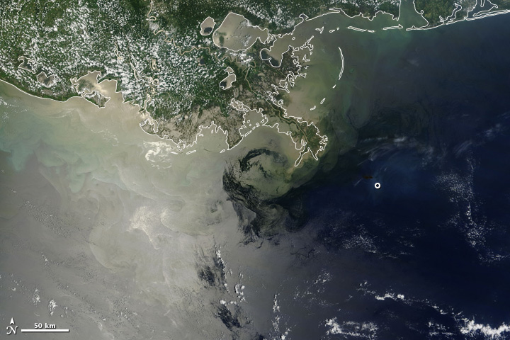 Satellite image showing natural and man-made oil slicks as well as runoff and other discoloration in the Gulf of Mexico.