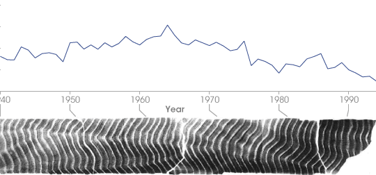 Graph of oxygen 18 isotopic data and x-ray of a coral core
