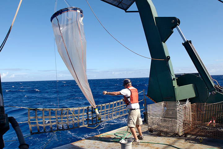 Photograph of a researcher retrieving a plankton net from the ocean.