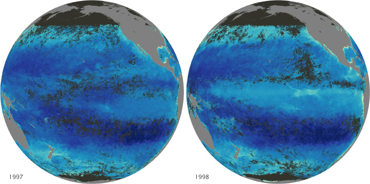 Maps comparing chlorophyll concentration in the Pacific between December 1997 (during an El Niño), and December 1998 (during a La Niña).