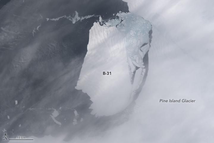 Landsat 8 captured this image on November 13, 2013 of iceberg B-31.