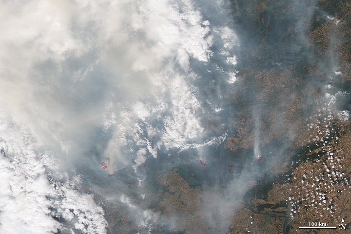 Satellite image of fires and smoke in western Russia, July 30, 2010.