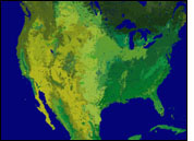 land cover classification