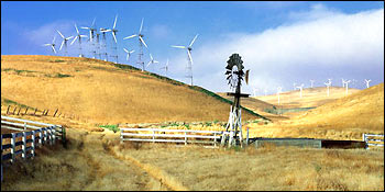 Photograph of Wind Turbines