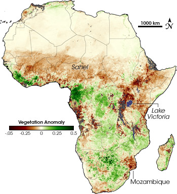Map of vegetation anomaly in Africa for March 1 through 10, 2005