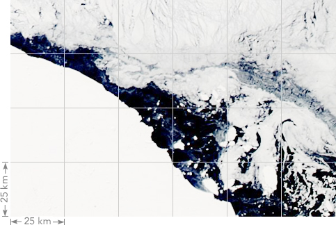 Example of the 25km per pixel coverage of sea ice monitoring satellites.
