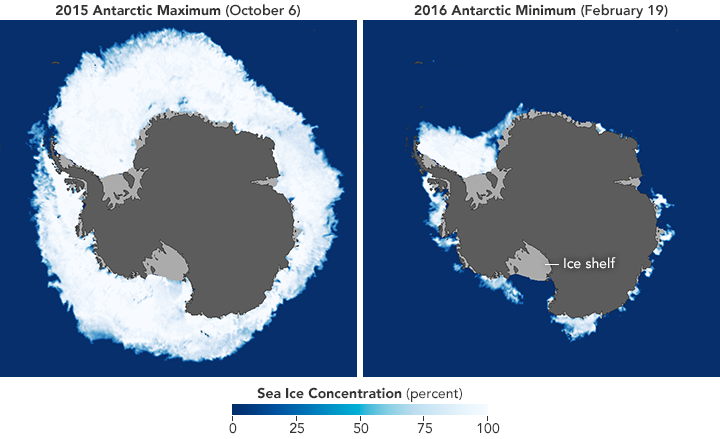 Maps of maximum and minimum Antarctic sea ice extent.