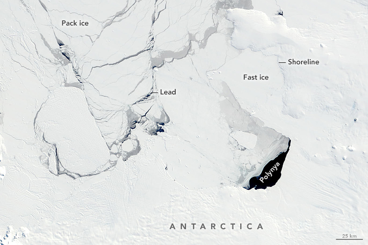 Satellite image showing sea ice features: fast ice, pack ice, a polynya, and leads.