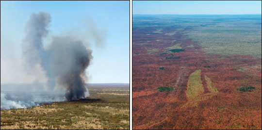 Photographs of Smoke and Burn Scars in the Outback