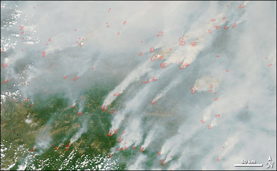 Satellite image of fires in eastern Siberia.