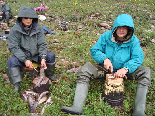 Photograph of Siberian expedition team members gutting fish.