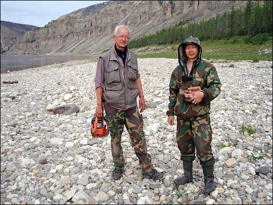 Photograph of Slava Kharuk and Sergei Im holding transects (slices) of larch trees.