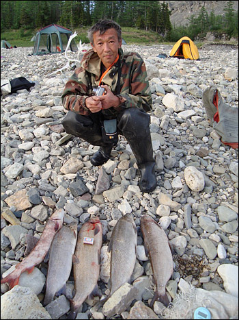 Photograph of Mukhtar Naurzbaev and fish.