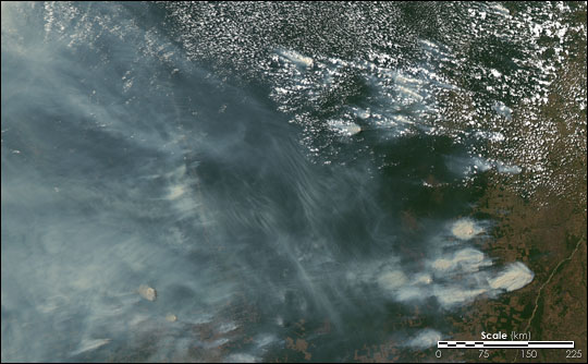 Satellite Image of Smoke in the Amazon