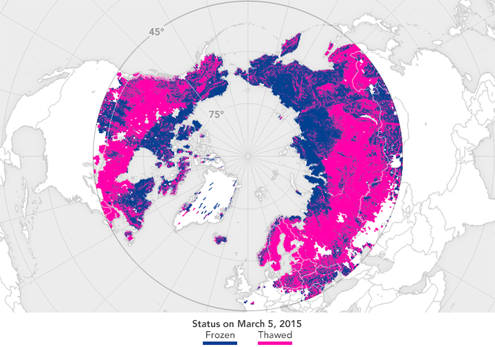 Map of high latitude freeze-thaw status.