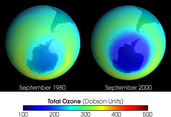 Comparison of 1980 and
2000 ozone levels